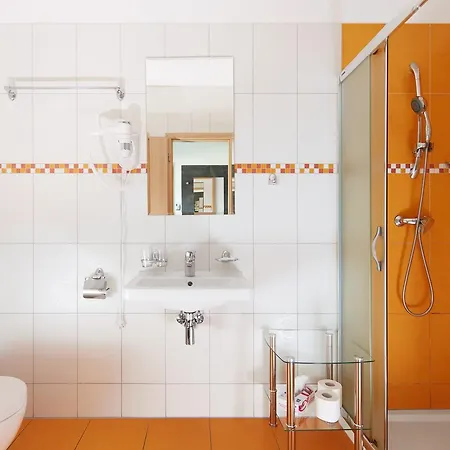 Jbx Albatros Hotel Přední Výtoň