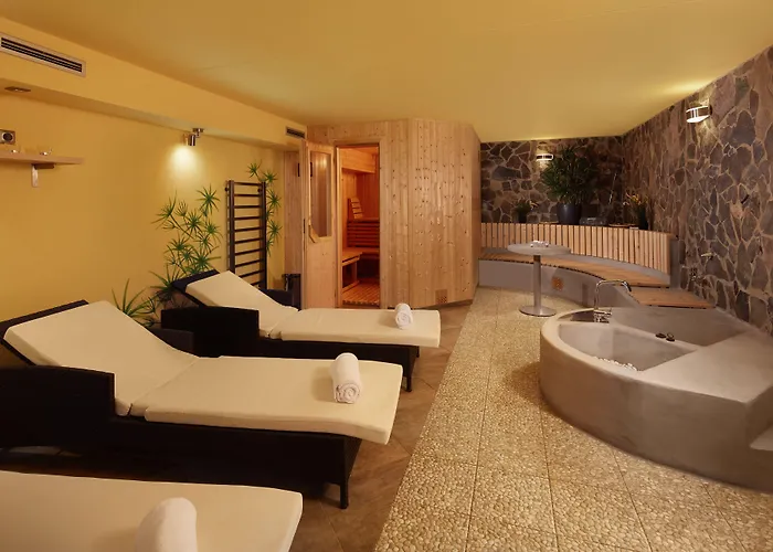 Jbx Resort Hotel Albatros 3* Přední Výtoň